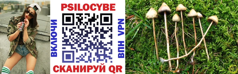 Псилоцибиновые грибы Psilocybine cubensis  Кольчугино 