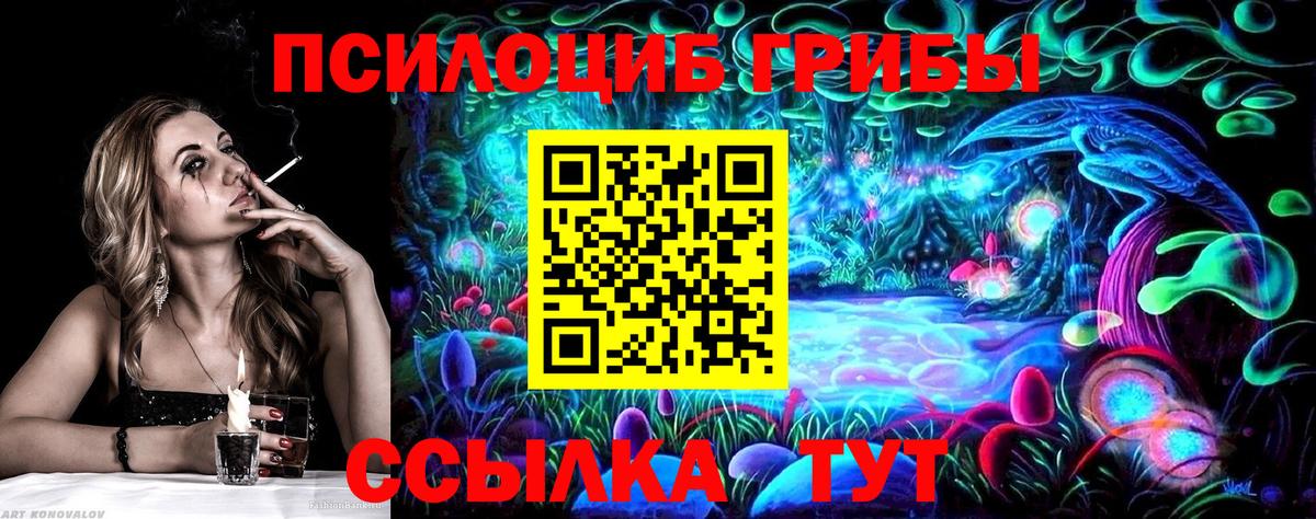 Псилоцибиновые грибы Cubensis Кольчугино