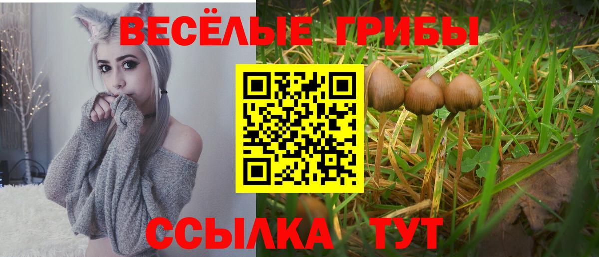 Галлюциногенные грибы Cubensis  Вход с VPN  Кольчугино  Галлюциногенные грибы ЛСД 